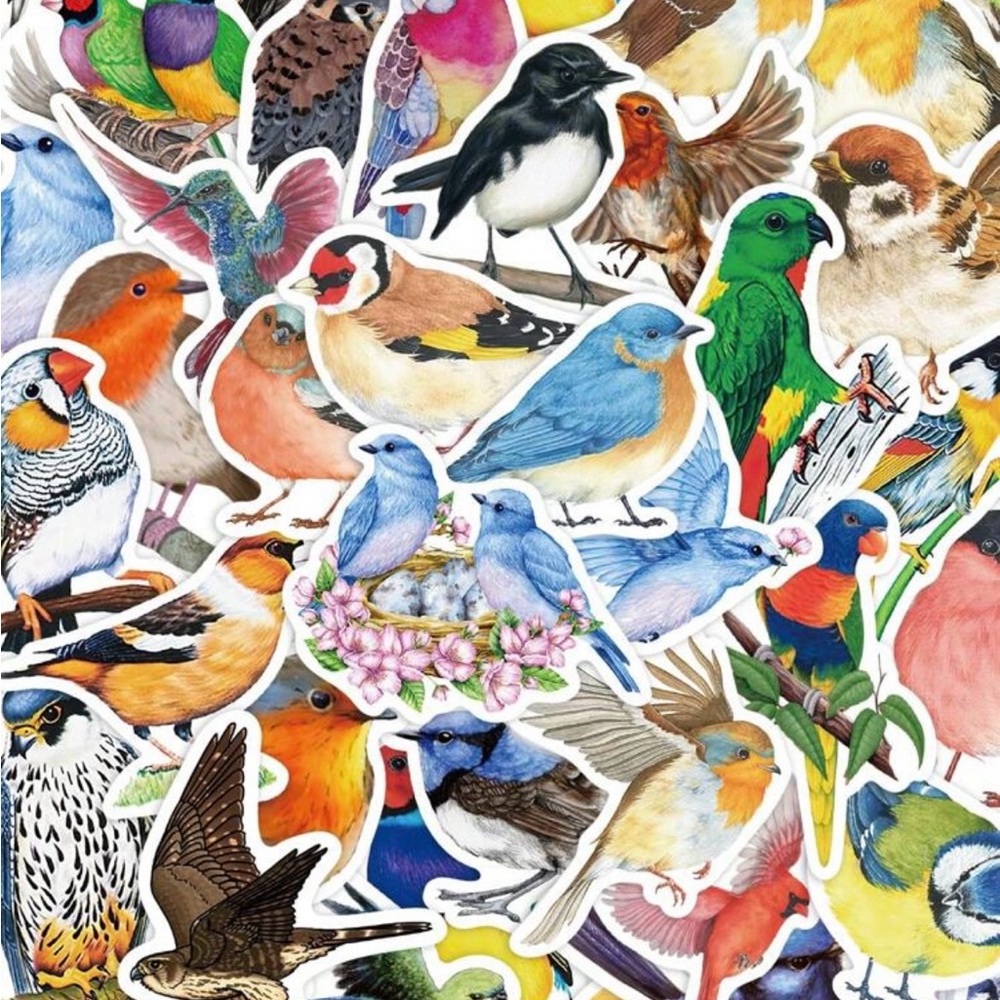 50 Colorful Bird Stickers